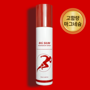 빅슘 뿌리는 마그네슘 스프레이 (마그네슘 클로라이드 320 019ppm), 1개, 120ml
