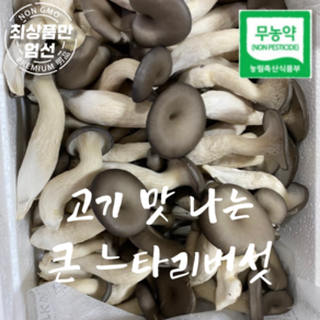 국산 무농약 큰 느타리버섯 고기맛 느타리 버섯 특상품, 1박스