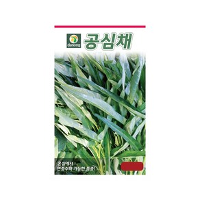 다농 공심채 씨앗 10g, 1개