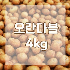 오란다볼 4kg 퍼핑콩 오란다알알이