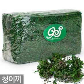 세인화분 대용량 청이끼 약 640g - 이끼 화분 인테리어 데코레이션 장식 건조 원예 대형 데코 건조이끼 인조이끼 인공이끼 화분이끼, 1개