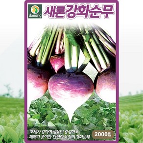 식용 텃밭 채소 키우기 강화순무 씨앗 2000립