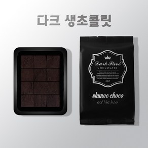 슈니초코 생초콜릿170g, 1개, 170g