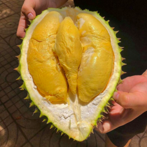 [A0등급 태국몬통두리안] 블로거추천 로컬맛집 생두리안, 1박스, 1.5kg