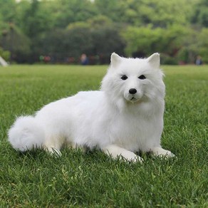 사모예드인형 인테리어 장난감 동물인형 여자친구선물 리얼펫, A