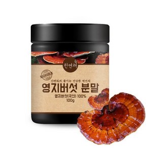 국산 영지버섯 분말 가루 100g