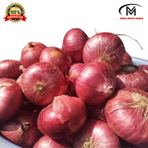 RED ONION (미니 양파) 샤롯(SHALLOT) 1KG 1개