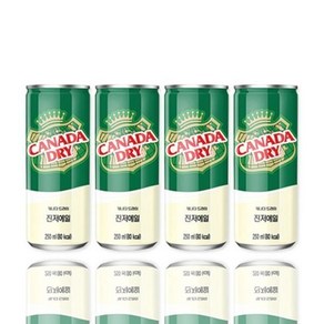 캐나다드라이 진저엘 250ml x 30캔 나우핫, 30개