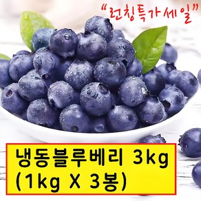 wtm 냉동블루베리 1kg*3봉 냉동과일, 3개, 3kg