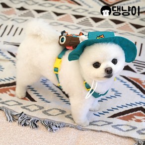 [댕냥이] 강아지 피너츠 어드벤쳐 투웨이 백팩 하네스 세트(+모자포함), 1개, ONE
