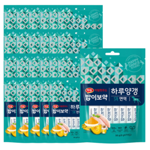 밥이보약 도그 하루양갱 면역 56g, 8g, 20개