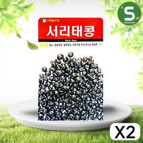 솔림텃밭몰 서리태콩씨앗 30g 서리태콩 검은콩 재래종 콩씨앗, 2개