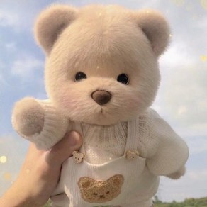 테디 테일즈 레나베어 곰인형 테디베어 봉제인형 애착인형, 30cm, A, 1개