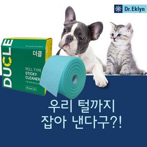 닥터에클린 미세먼지청소 점착 청소포 더클 본품+리필, 1개