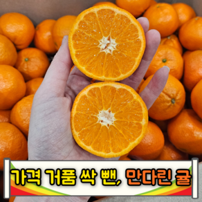 [재구매폭주] 꿀뚝뚝 당도왕 만다린귤 만다린감귤, 1개, 1kg