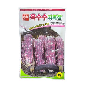 옥수수자흑찰 씨앗 30g [24년포장] 자색의 찰옥수수 종자 아시아종묘