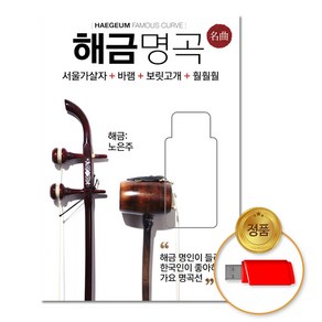 해금명곡100곡(USB)/노은주/서울가살자/바램/보릿고개/가요/연주곡/애창곡/차량용