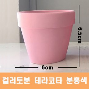 컬러 토분(분홍색) 화분 미니토분 다육이 테라코타[지름6cmX높이6.5cm] 수입도매