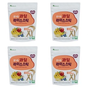 또또맘 유기농 라이스스틱, 과일, 20g, 4개