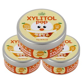 수제 장인 자일리톨 팝 캔디 사탕, 70g, 3개