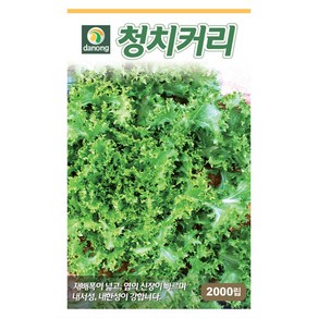 청치커리씨앗 2000립 독특한쓴맛 생채용 녹즙용 치커리씨앗, 1개