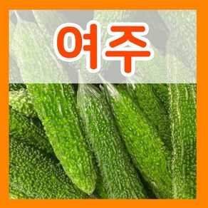 여주 씨앗 10립 여주씨 재배 종자 파종 채소키우기