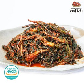 야미김치 여수 전라도 고들빼기 김치, 500g, 1개