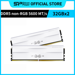 실리콘파워 Silicon Powe RGB DDR5-5600 32GB*2 CL40 PC5-44800 데스크탑 메모리 램, 화이트, 2개