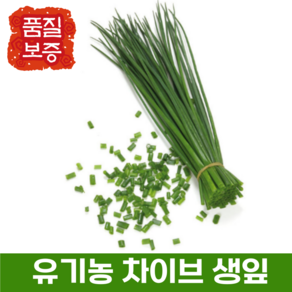 [품질보증] 유기농 차이브 생잎 (원산지 : 국내산), 1개, 10g