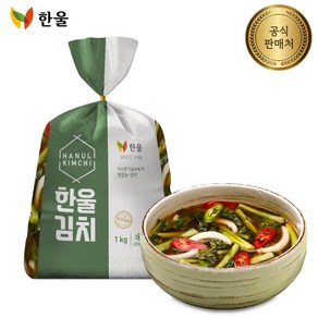 한울 열무물김치3kg, 1개, 3kg