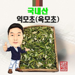 국내산 익모초 100g (경북 영천) 국산 육모초, 1개