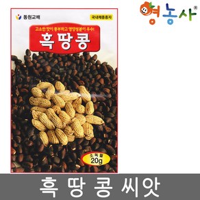 동원 흑땅콩씨앗 20g, 동원흑땅콩, 1개