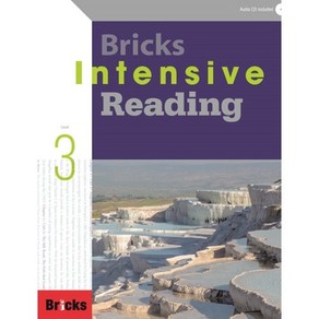 BRICKS INTENSIVE READING (3) 브릭스인텐시브리딩