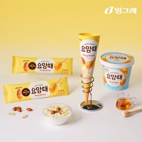 빙그레 요맘때 요거트 아이스크림 딸기콘 24개입, 요맘때 파인트 블루베리2+허니플레인2