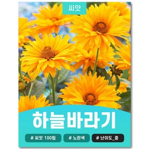 하늘바라기 씨앗 100립, 1개