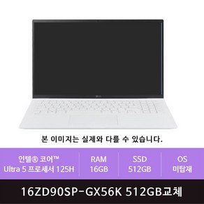 LG 그램 프로16 16ZD90SP-GX56K 512GB교체(zoaa)