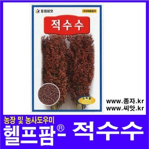 헬프팜 적수수 30g 종자 씨앗 동원농산종묘, 1개