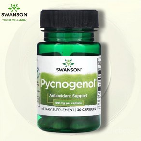 Swanson Pycnogenol 스완슨 피크노제놀 100mg 캡슐 30정, 1개