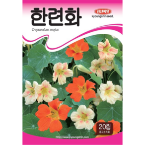 꽃씨 꽃씨앗 야생화 한련화 20립, 1개