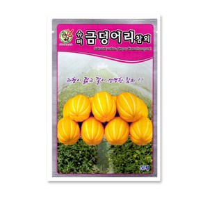 모칸도 제일 슈퍼금덩어리 참외 씨앗 50립, 1개