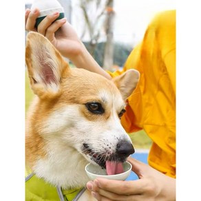 부누아카 반려동물 워터보냉 휴대용 물통, 1개, 블루