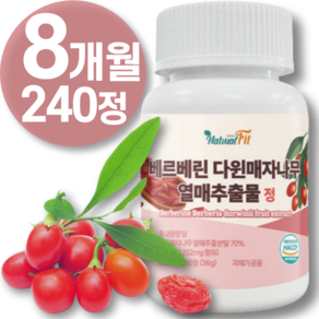 베르베린 추출물 식약청 HACCP 인증 매자나무 리포 베르베린 당 운데실렌산 플러스 조 분 말 미셀 직구 12 효능 5 캐나다 1 0 산 고함량 퀘르세틴 뇨 추천 00mg 영양제