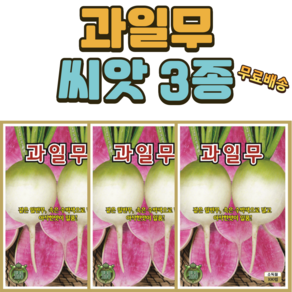 씨앗팜 과일무 씨앗 3개(100립x3) 수박무씨앗, 3개