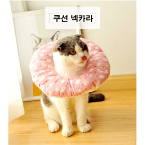 [켈리] 고양이 강아지 중성화수술 상처보호 쿠션넥카라, 러블리하트, 1개