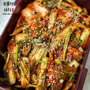 손품정 진짜 전라도 얼갈이 김치 겉절이 국내산, 1개, 2kg