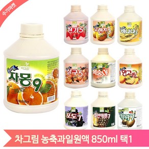 대용량 카페재료 850ml 자몽 오렌지 에이드 스무디 만들기 음료베이스 원액, 바나나 (W1459B1), 1개