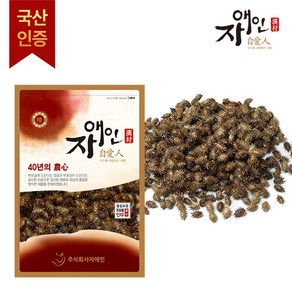 자애인 국산 자연산 볶은 창이자 600g 도꼬마리차 충북제천, 1개