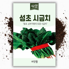 씨앗팜 월동 섬초 시금치씨앗 20g 동초 월동 시금치 종자