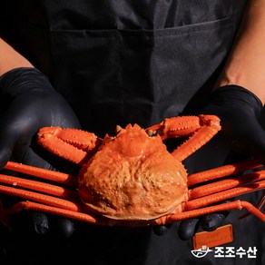 [조조수산]울진 후포리 박달홍게 찜 산지직송 자숙홍게 3kg, 박달홍게 3kg (8~11마리/자숙/라면용), 1개