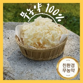 무농약 생 꽃송이버섯 청정 버섯 베타글루칸 농가직송, 1개, 1kg